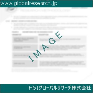 グローバルリサーチ調査資料のイメージ